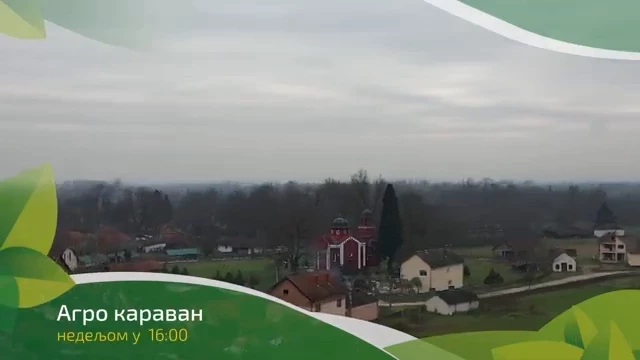 videoplayback (4)_1776241674645